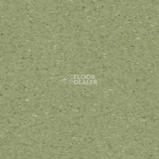 Линолеум Tarkett iQ Granit FERN 0405 фото 1 | FLOORDEALER